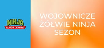 Wojownicze żółwie ninja Sezon 4 Odcinek 6