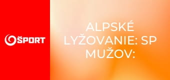 Alpské lyžovanie: SP mužov: Levi