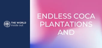 Nekonečné plantáže koky a opekané morské prasiatko na špíze. Bolívia.