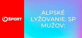 Alpské lyžovanie: SP mužov: Lillehammer