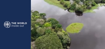 Ekstremalne połowy ryb i ofiary piratów. Brazylia.