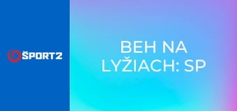 Beh na lyžiach: SP mužov: Lake Placid