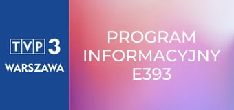 Program informacyjny E393
