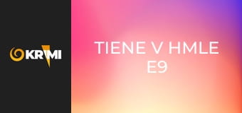 Tiene v hmle E9 - 243