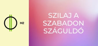 Szilaj a szabadon száguldó - Lucky és a lány, aki farkast kiáltott
