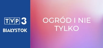 Ogród i nie tylko E162
