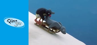 Pingu Sezon 3 Odcinek 24 Pingu Sezon 3 Odcinek 24