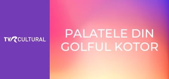 Palatele din golful Kotor E6 - Palatele Beskuća şi Providurov