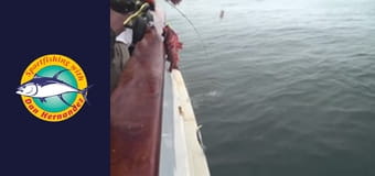 Californian, part 1 Californian, part 1