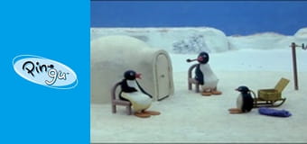 The Pingu Show Řada 1 Epizoda 60