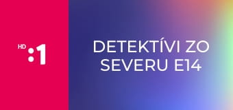 Detektívi zo severu E14 - Smrť puntičkára