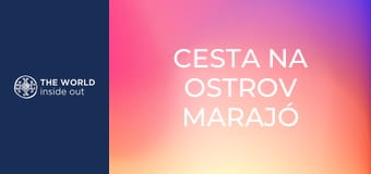 Cesta na ostrov Marajó a lov mangrovových krabov. Brazília.