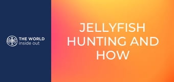 Lov medúz a čínske recepty na ich prípravu. Čína.