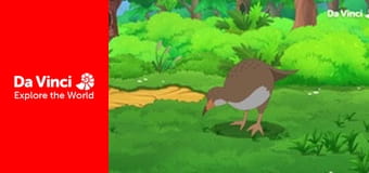 Darwin and Newts - Save the Takahe