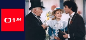 Co medvědi nevědí