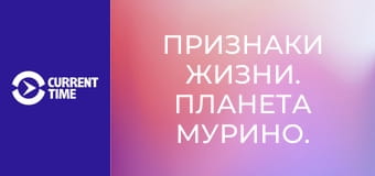 Признаки жизни. Планета Мурино. Молодые люди.