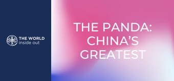 Panda: najväčší poklad Číny. Život v horskej dedine. Čína.