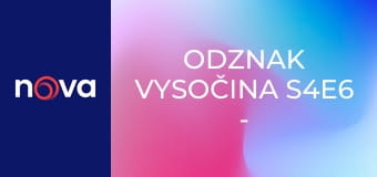 Odznak Vysočina S4E6 - Ukradené zbraně