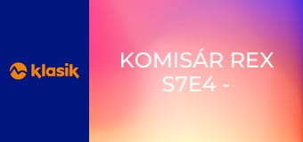 Komisár Rex S7E4 - Štvornohý svedok