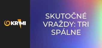 Skutočné vraždy: Tri spálne a jedno telo E3