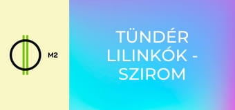 Tündér lilinkók - Szirom és a tél