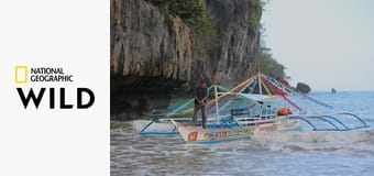 Deset nejnebezpečnějších hadů S3E1 - Filipíny