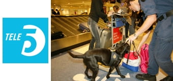 Straż graniczna S1E12