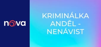 Kriminálka Anděl - Nenávist