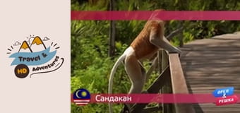 Cestovanie a dobrodružstvo, Sandakan