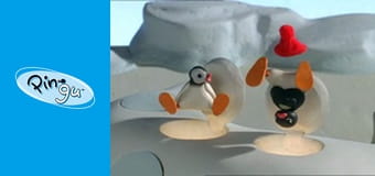 The Pingu Show Sezon 1 Odcinek 20