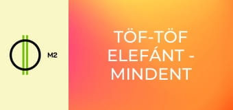 Töf-Töf elefánt - Mindent takarító