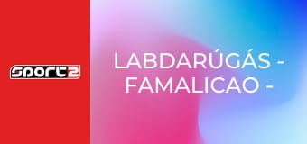 Labdarúgás - Famalicao - Arouca