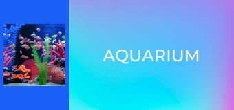 Aquarium