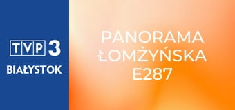 Panorama łomżyńska E287