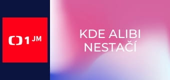 Kde alibi nestačí