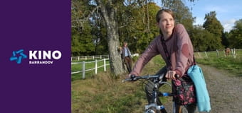 Inga Lindström: Divocí koně