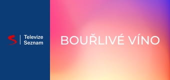 Bouřlivé víno