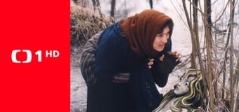 Tajemství mořské panny