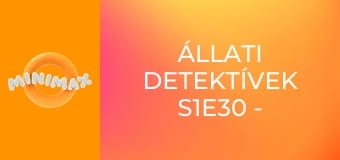 Állati detektívek S1E30 - Vízimádat Állati detektívek S1E30 - Vízimádat