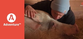 Mój najlepszy zwierzoprzyjaciel E4