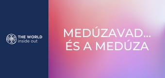 Medúzavadászat és a medúza elkészítési módjai. Kína.