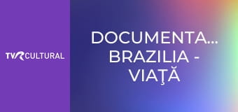 Documentar360°GEO: Brazilia - viaţă de pescari
