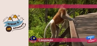 Travel & Adventures, Sandakan Travel & Adventures, Sandakan