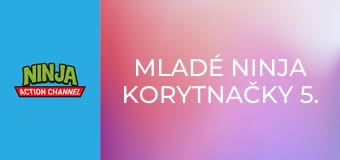 Mladé ninja korytnačky 5. séria, 10. časť