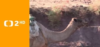 Hranice dokořán - Rozmówki polsko-czeskie