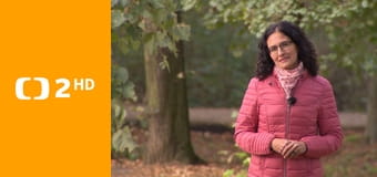 Křesťanský magazín - Poutní místa Svatého roku 2025