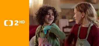 Království divočiny - Jihoafričtí lachtani