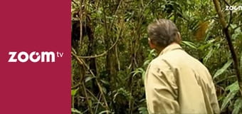 Wojciech Cejrowski - boso przez świat S1E19 - Dżungla