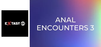 Anal Encounters 3