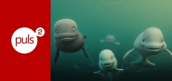 Katak: Podwodna przygoda